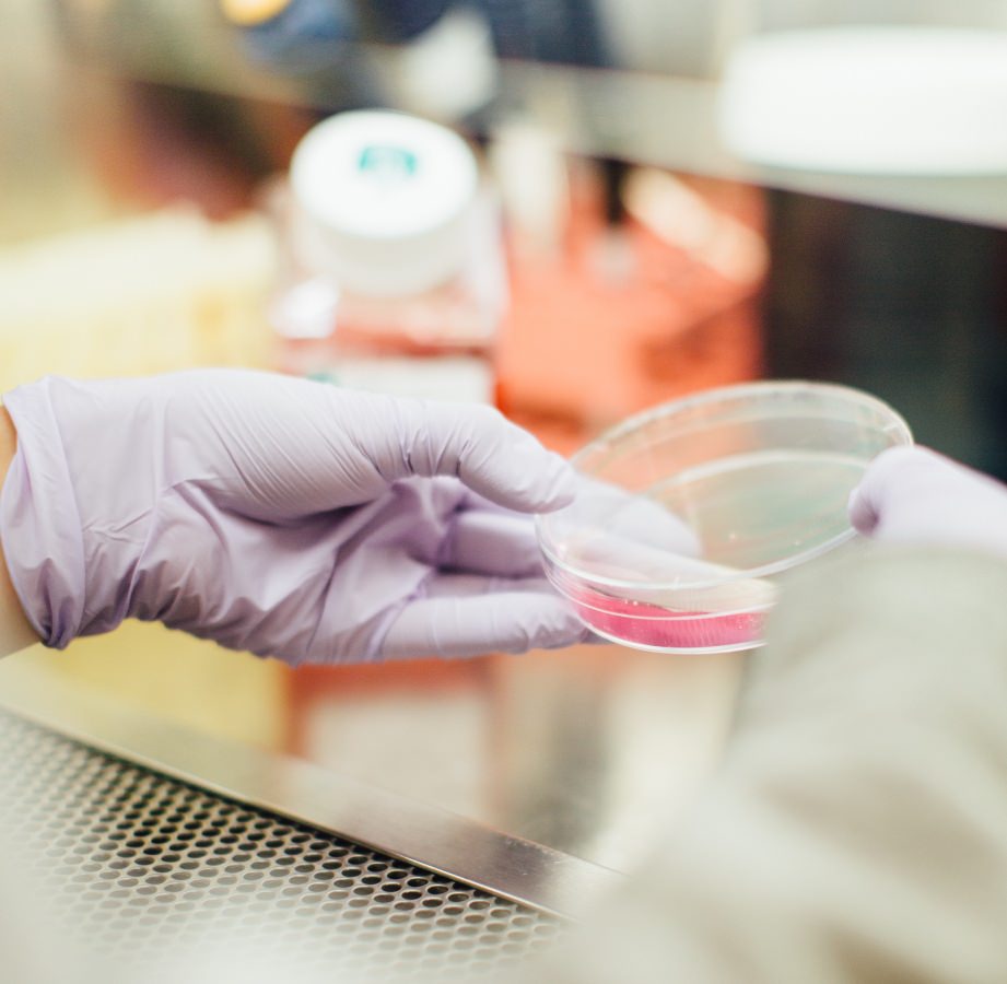 New Technology and Science Learning